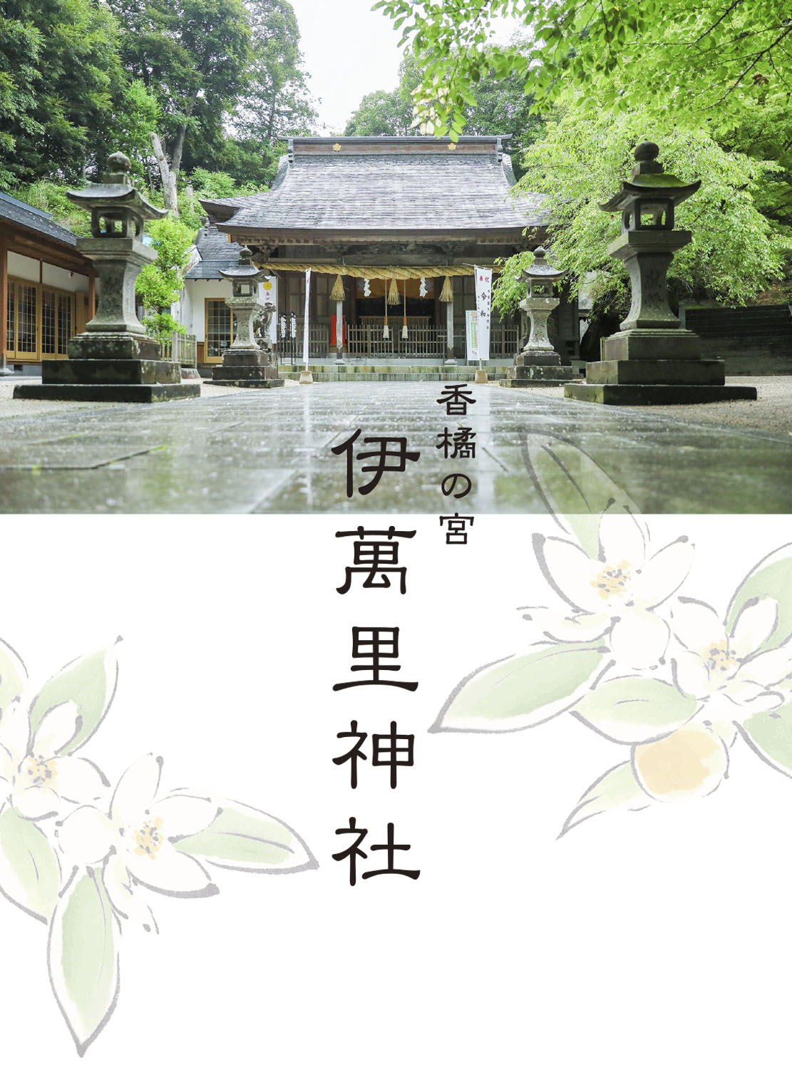 トップイメージ